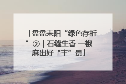 盘盘耒阳“绿色存折”②｜石缝生香 一椒麻出好“丰”景