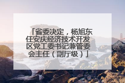 省委决定，杨旭东任安庆经济技术开发区党工委书记兼管委会主任（副厅级）