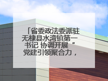 省委政法委派驻无棣县水湾镇第一书记 协调开展“党建引领聚合力，健康义诊惠乡亲”义诊活动