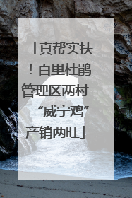 真帮实扶！百里杜鹃管理区两村“威宁鸡”产销两旺