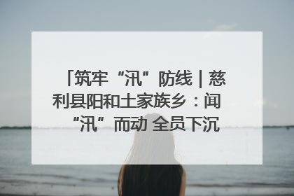 筑牢“汛”防线｜慈利县阳和土家族乡：闻“汛”而动 全员下沉筑牢防汛“安全堤”
