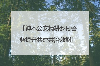 神木公安精耕乡村警务提升共建共治效能