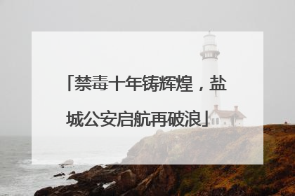 禁毒十年铸辉煌，盐城公安启航再破浪