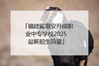 福建省惠安开成职业中专学校2025最新招生简章