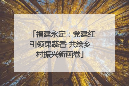福建永定：党建红引领果蔬香 共绘乡村振兴新画卷