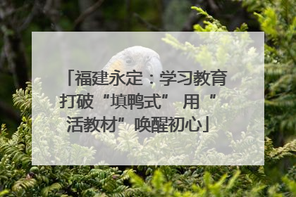 福建永定：学习教育打破“填鸭式” 用“活教材”唤醒初心