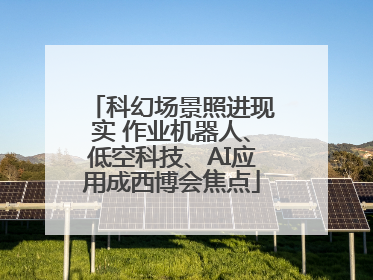 科幻场景照进现实 作业机器人、低空科技、AI应用成西博会焦点