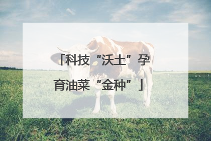 科技“沃土”孕育油菜“金种”