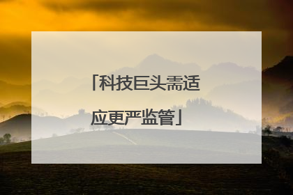 科技巨头需适应更严监管