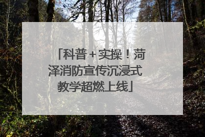 科普＋实操！菏泽消防宣传沉浸式教学超燃上线