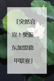 突然官宣！樊振东加盟德甲联赛