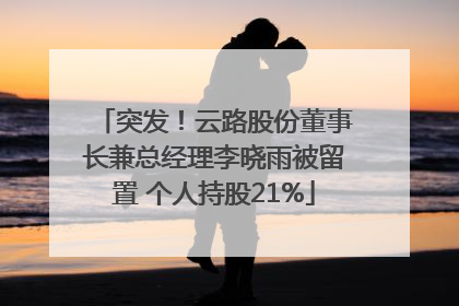 突发！云路股份董事长兼总经理李晓雨被留置 个人持股21%