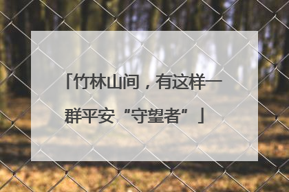 竹林山间，有这样一群平安“守望者”