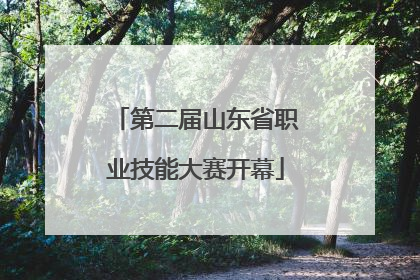 第二届山东省职业技能大赛开幕
