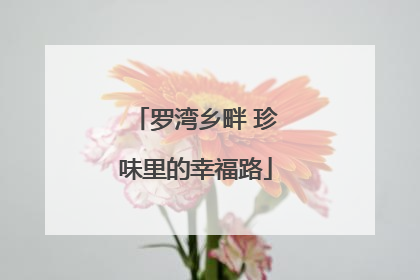 罗湾乡畔 珍味里的幸福路