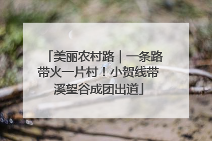 美丽农村路｜一条路带火一片村！小贺线带溪望谷成团出道