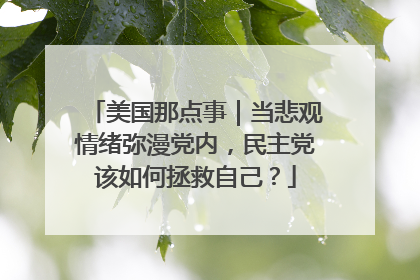 美国那点事｜当悲观情绪弥漫党内，民主党该如何拯救自己？