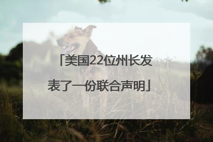 美国22位州长发表了一份联合声明