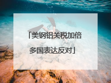 美钢铝关税加倍 多国表达反对
