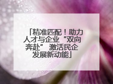 精准匹配！助力人才与企业“双向奔赴” 激活民企发展新动能