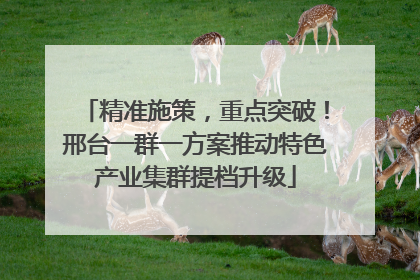 精准施策，重点突破！邢台一群一方案推动特色产业集群提档升级