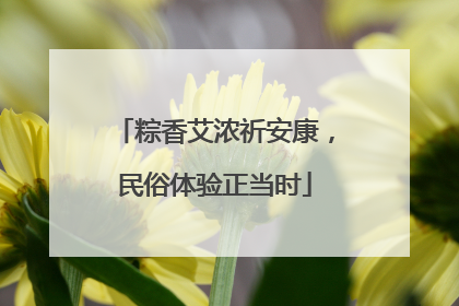 粽香艾浓祈安康，民俗体验正当时