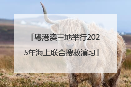 粤港澳三地举行2025年海上联合搜救演习