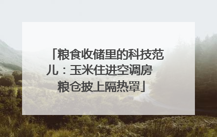 粮食收储里的科技范儿：玉米住进空调房 粮仓披上隔热罩
