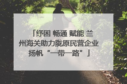 纾困 畅通 赋能 兰州海关助力陇原民营企业扬帆“一带一路”