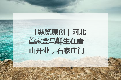 纵览原创｜河北首家盒马鲜生在唐山开业，石家庄门店预计8月开业