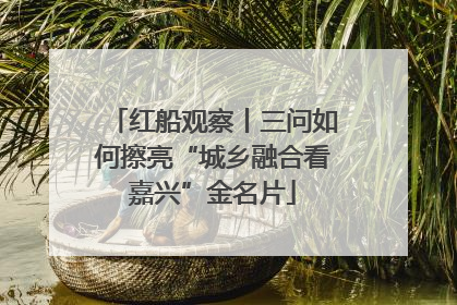 红船观察丨三问如何擦亮“城乡融合看嘉兴”金名片