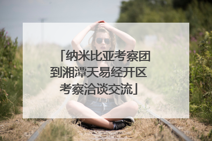 纳米比亚考察团到湘潭天易经开区考察洽谈交流