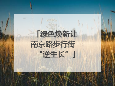 绿色焕新让南京路步行街“逆生长”