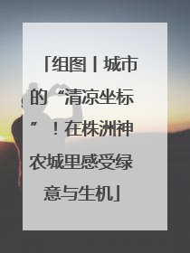 组图丨城市的“清凉坐标”！在株洲神农城里感受绿意与生机