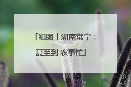 组图丨湖南常宁：夏至到 农事忙