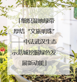 细织湿地绿带 厚结“文旅明珠”——中法武汉生态示范城挖掘绿色发展新动能