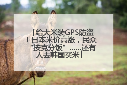 给大米装GPS防盗！日本米价高涨，民众“按克分饭”……还有人去韩国买米
