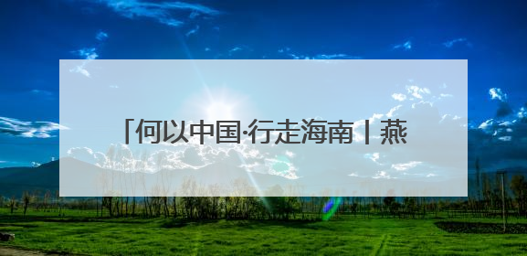 何以中国·行走海南丨燕子归时巢已新：自贸港东风吹拂 海南古村新生
