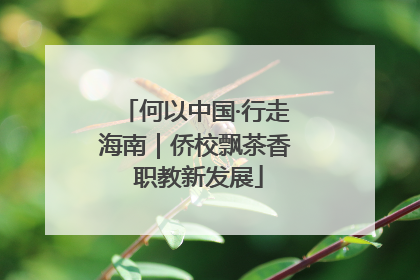 何以中国·行走海南｜侨校飘茶香 职教新发展