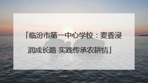 临汾市第一中心学校：麦香浸润成长路 实践传承农耕情