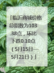 临沂商城价格总指数为103.38点，环比下跌0.10点（5月15日—5月21日）