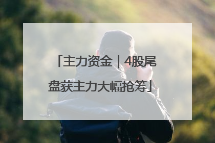 主力资金｜4股尾盘获主力大幅抢筹