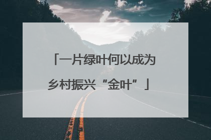 一片绿叶何以成为乡村振兴“金叶”
