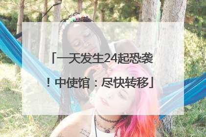 一天发生24起恐袭！中使馆：尽快转移