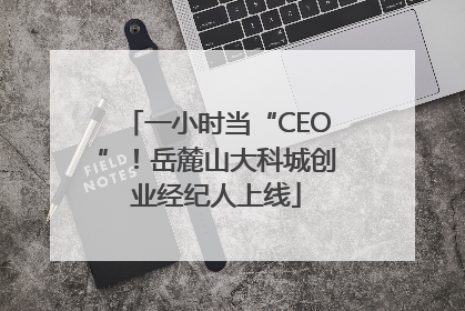 一小时当“CEO”！岳麓山大科城创业经纪人上线