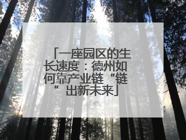 一座园区的生长速度：德州如何靠产业链“链”出新未来