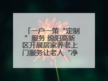 一户一策“定制”服务 绵阳高新区开展居家养老上门服务让老人“净”享安康