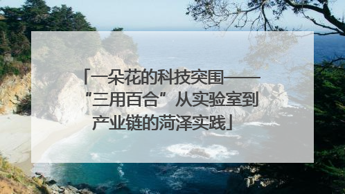 一朵花的科技突围——“三用百合”从实验室到产业链的菏泽实践