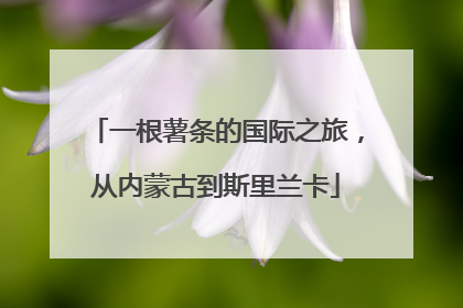 一根薯条的国际之旅，从内蒙古到斯里兰卡