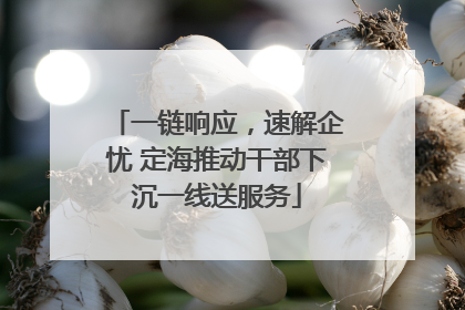 一链响应，速解企忧 定海推动干部下沉一线送服务
